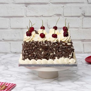 Black Forest Square Cake