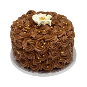 Chocolate Swirl Cake