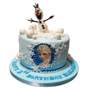 Frozen Cake  | Cakes & Bakes | Cake Delivery