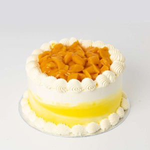 Mango Oasis Treat Cake