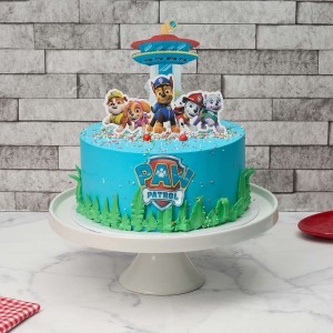 Paw Patrol Hero Cake