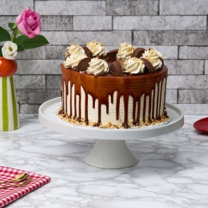 Reese's Chocolate Peanut Butter Cake