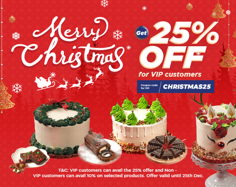 Christmas25 25% VIP off on selected products