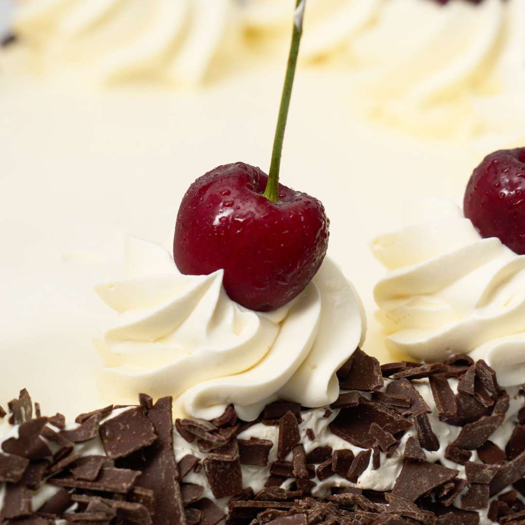 Black Forest Square Cake