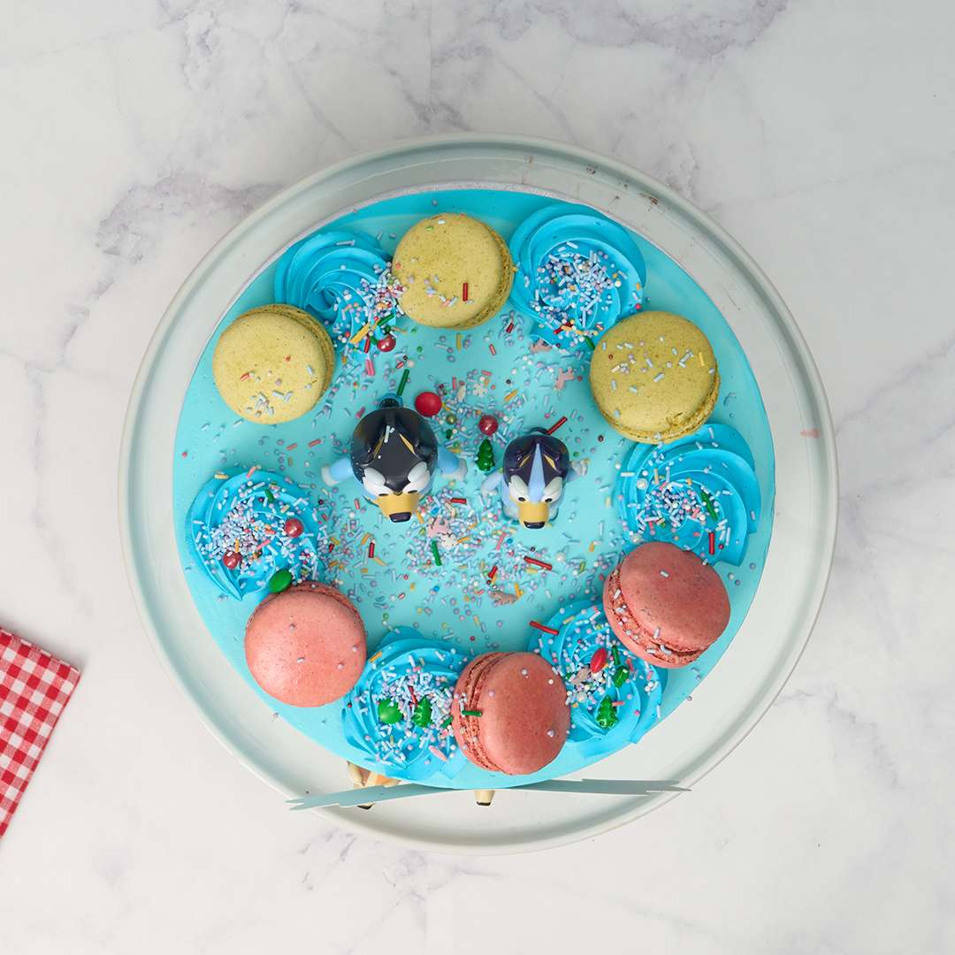 Bluey Cake