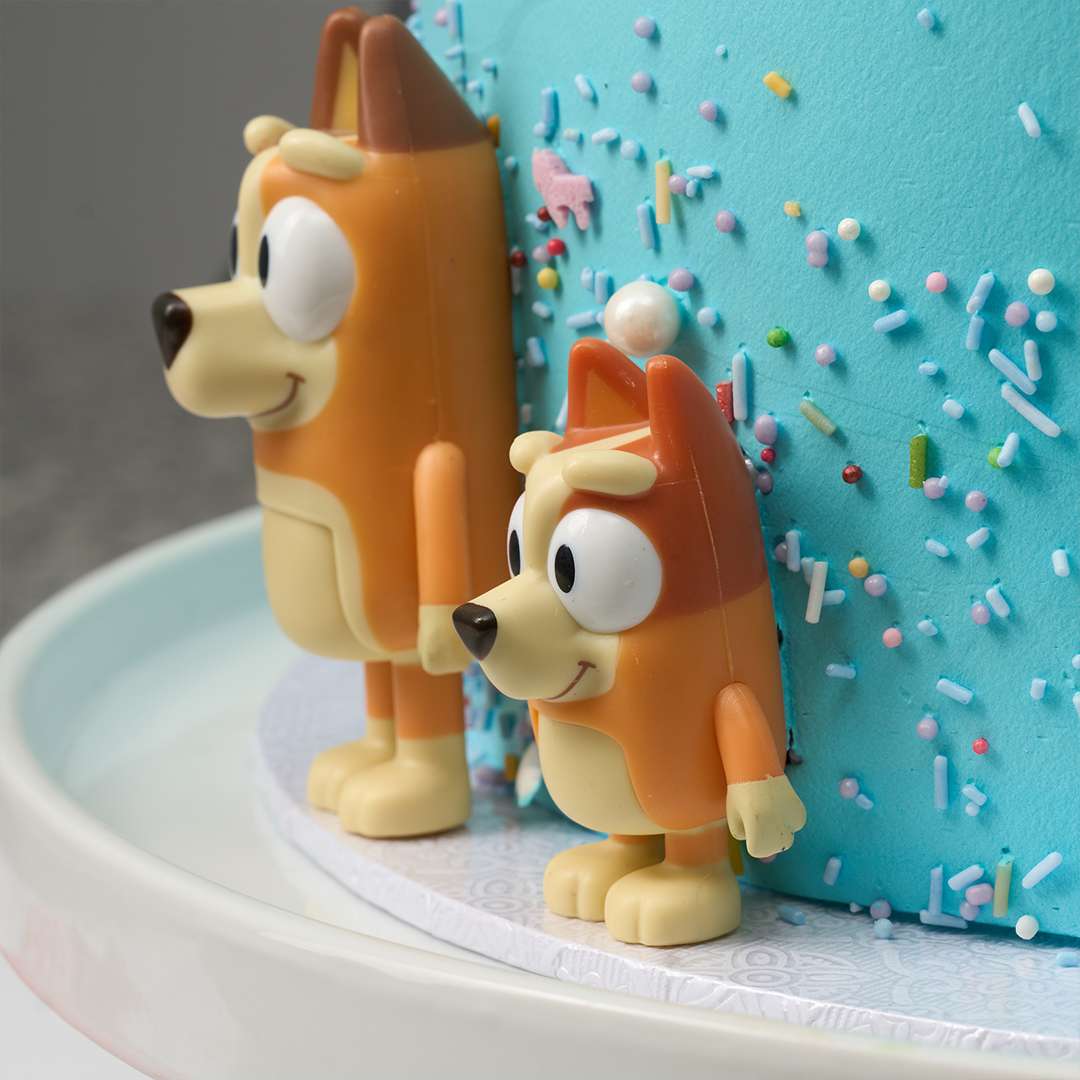 Bluey Cake