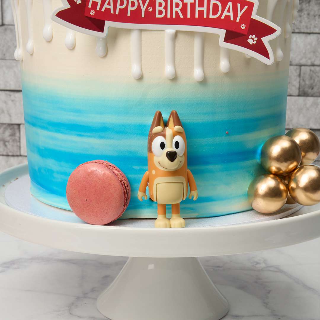 Bluey Cake