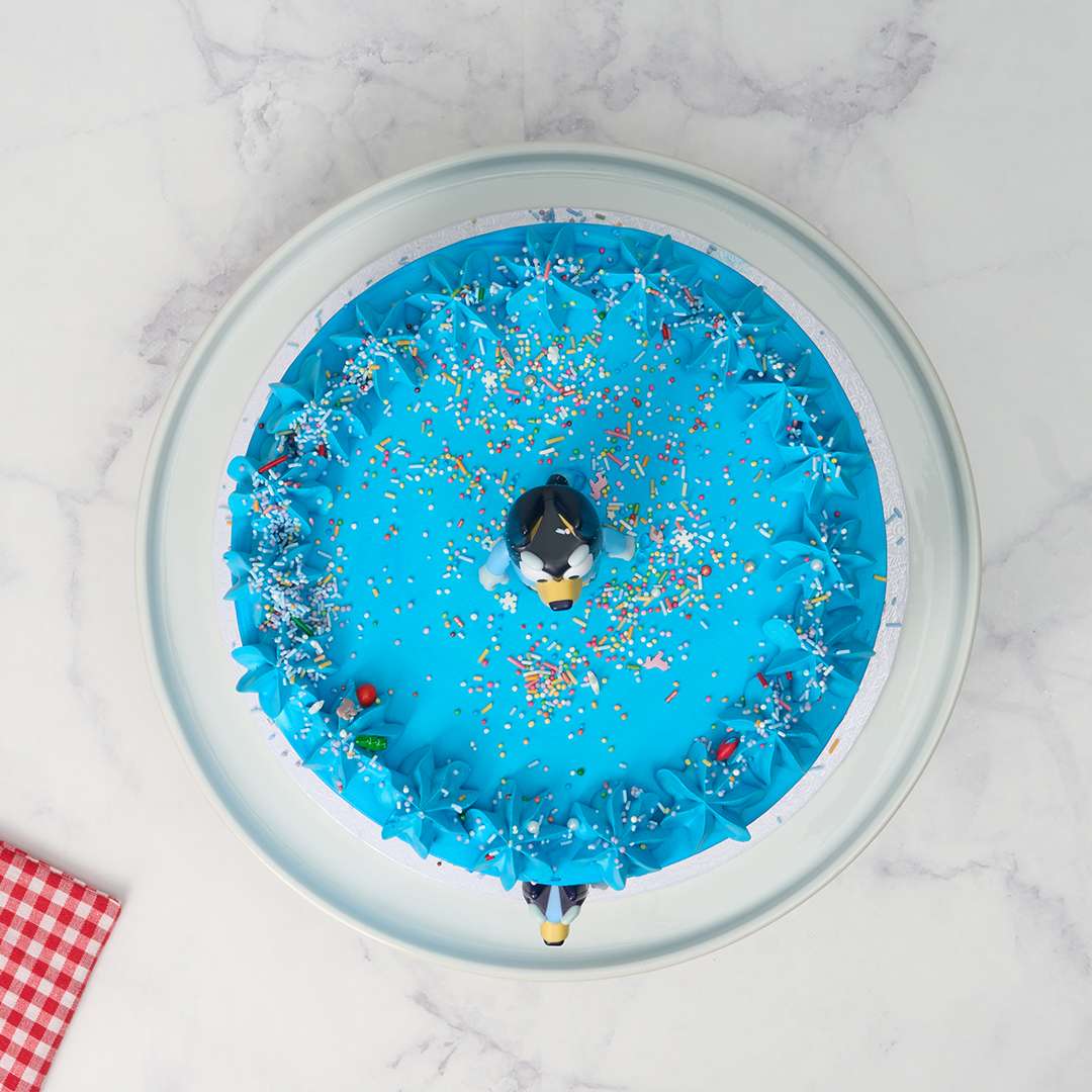 Bluey Cake