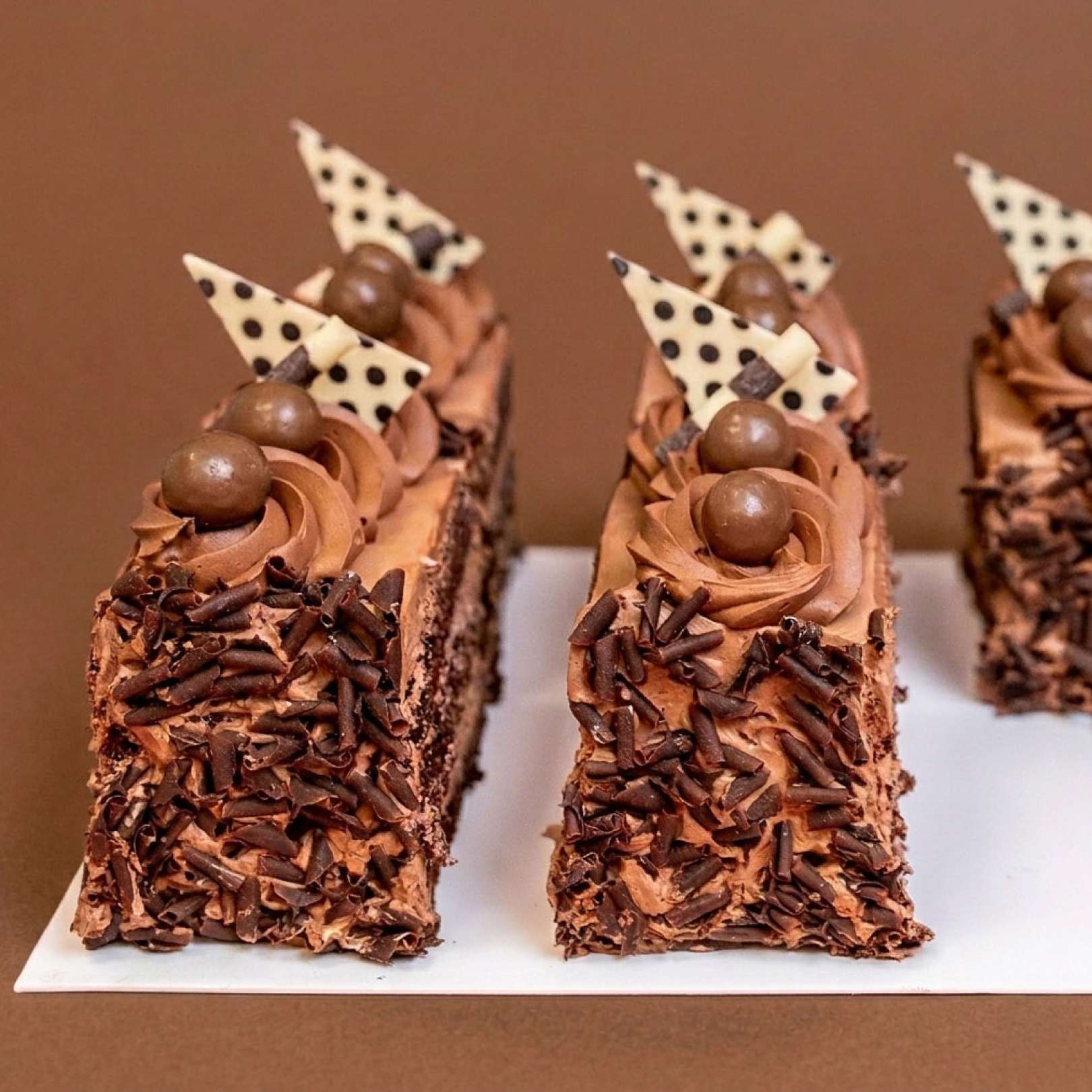 Choco Truffle Cake Slice