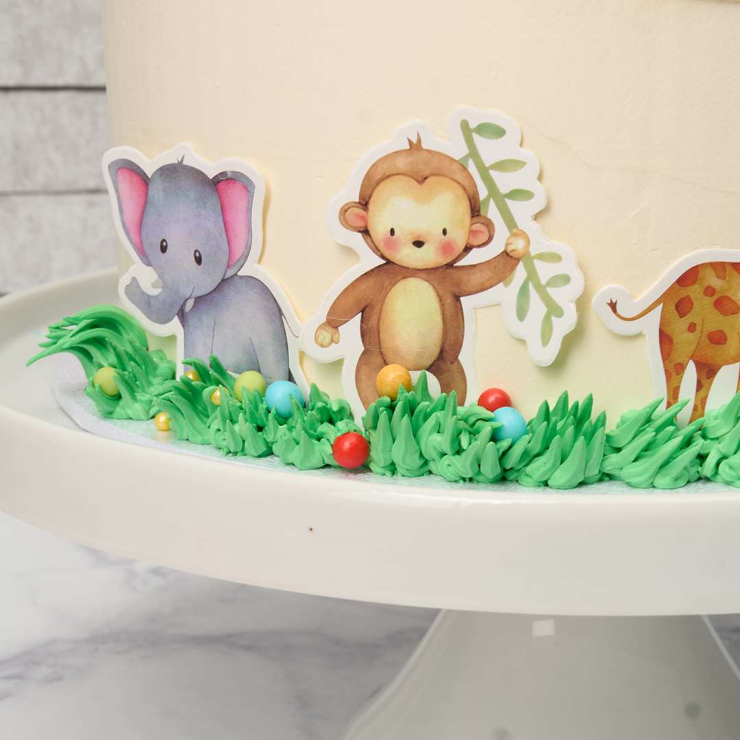 Jungle Cake