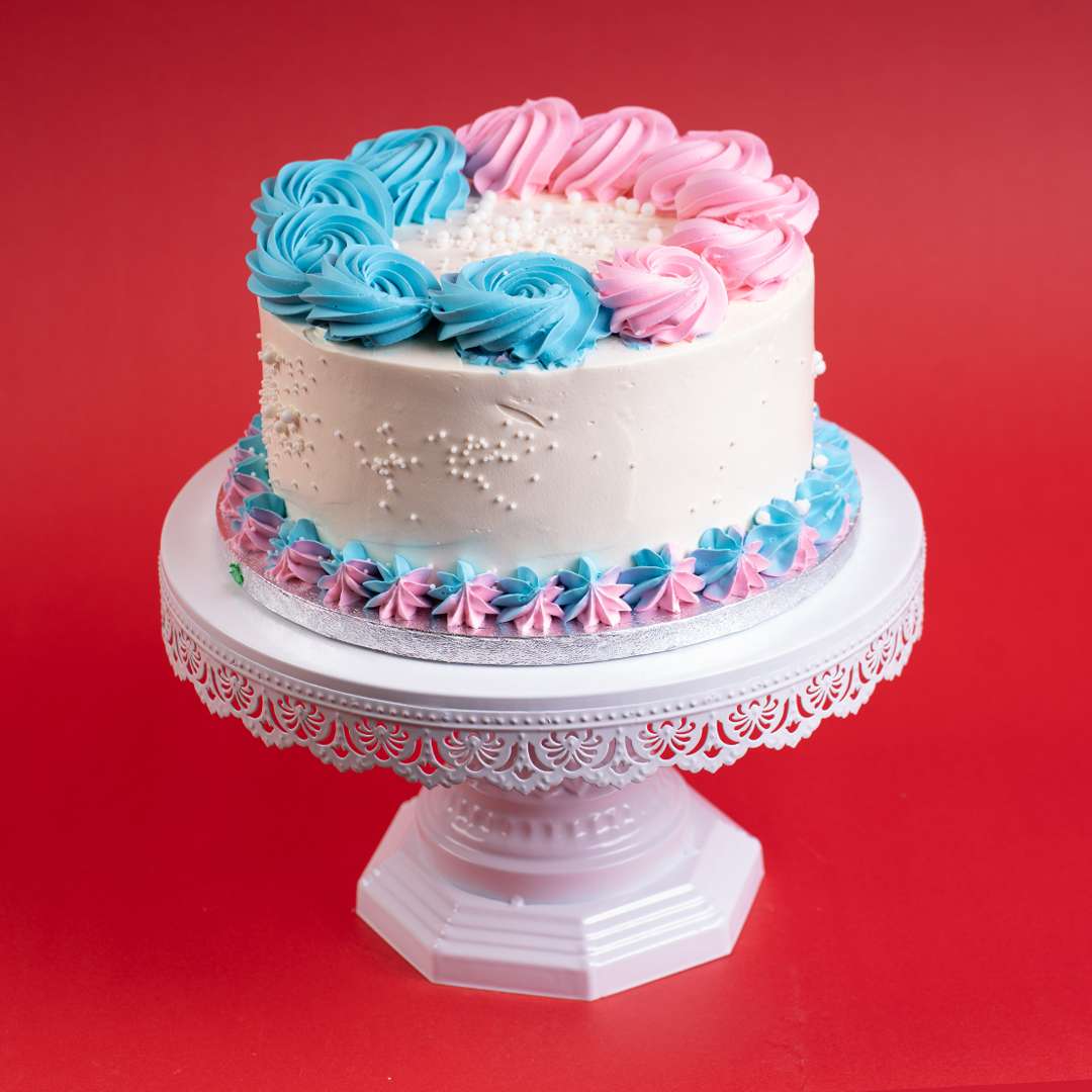 He or She Reveal Cake