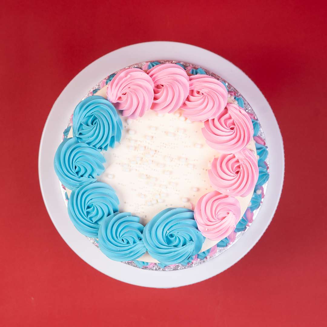 He or She Reveal Cake