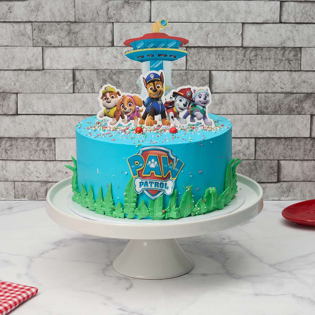 Paw Patrol Cake