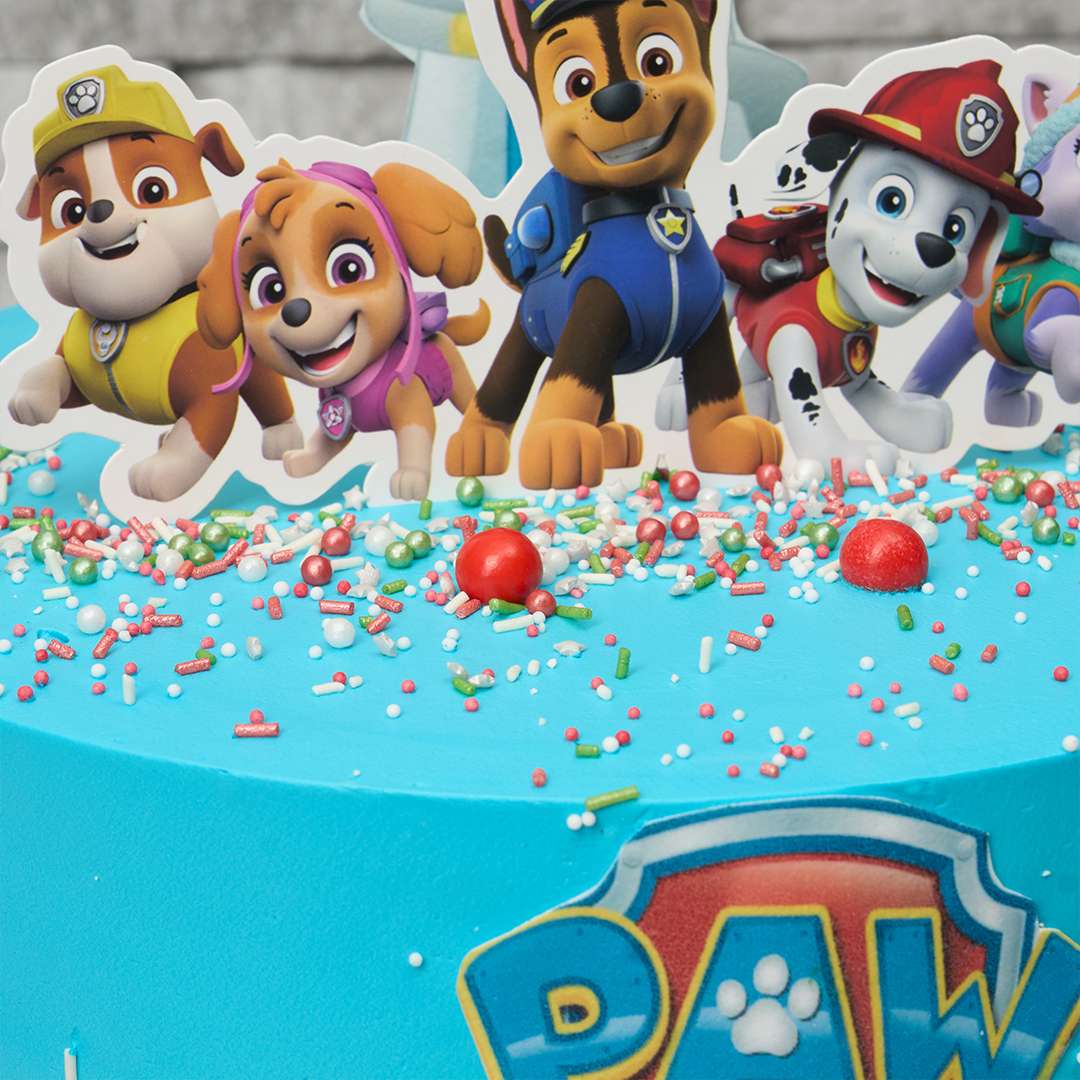Paw Patrol Cake