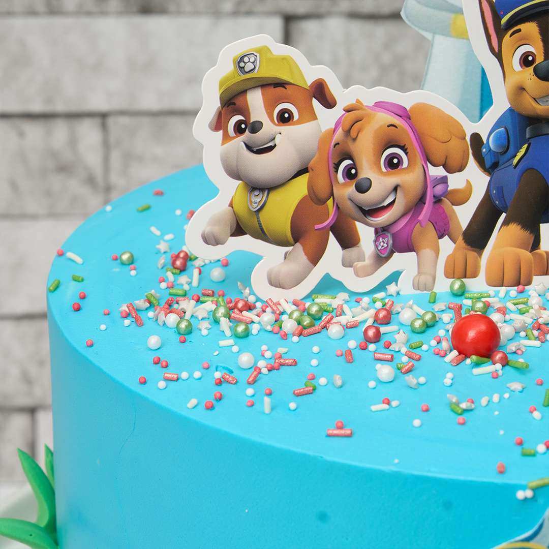Paw Patrol Cake