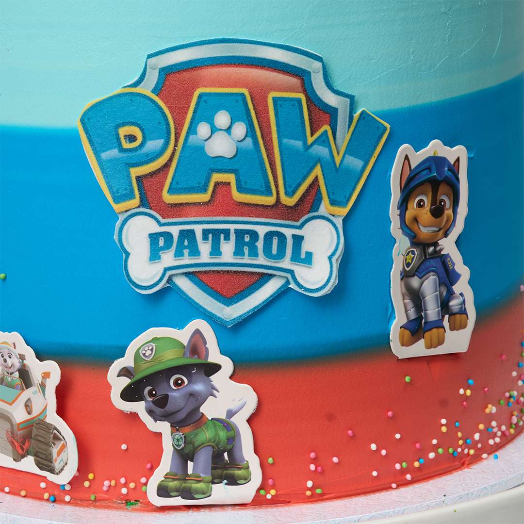 Paw Patrol Cake