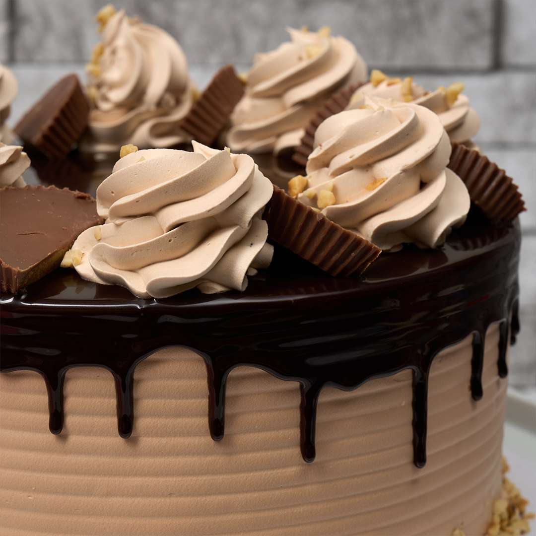 Reese's Chocolate Peanut Butter Cake
