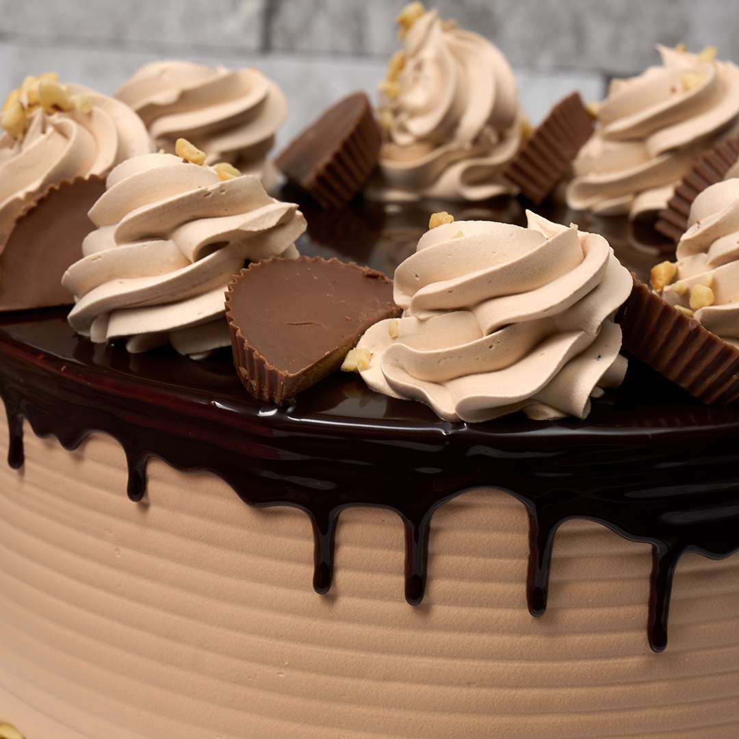 Reese's Chocolate Peanut Butter Cake