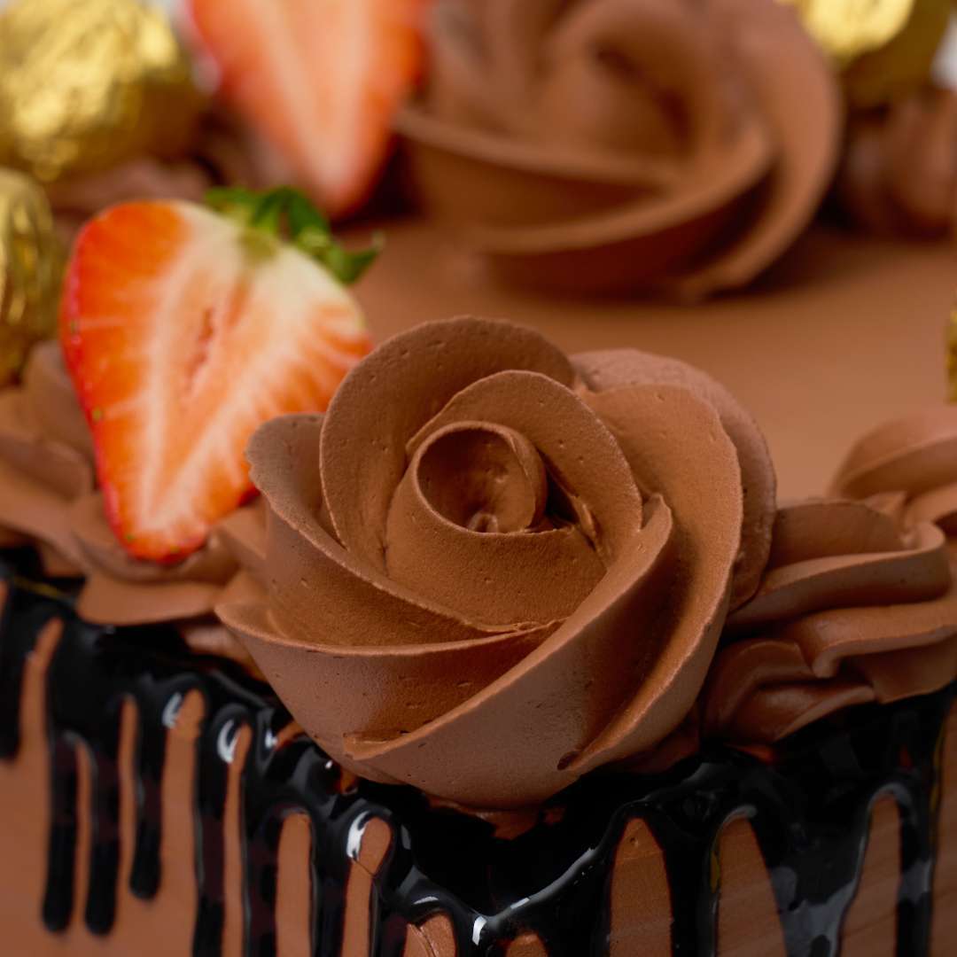 Rich Chocolate Square Cake