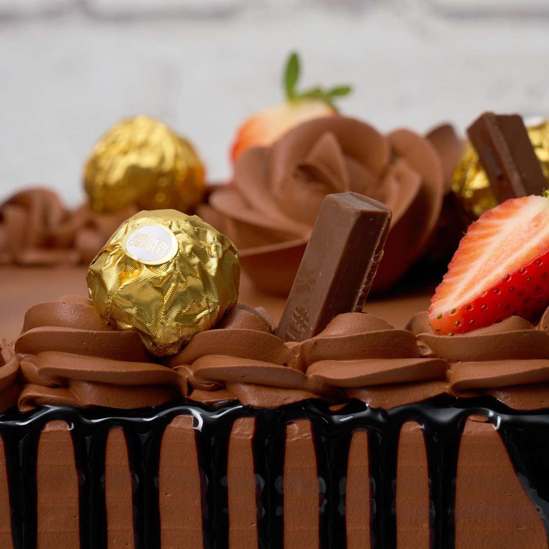 Rich Chocolate Square Cake